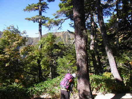 燕岳　日帰りケーキフェア編　燕山荘まで
