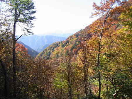 雲取山①