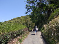 白岩寺山 2011/04/28 09:09:13