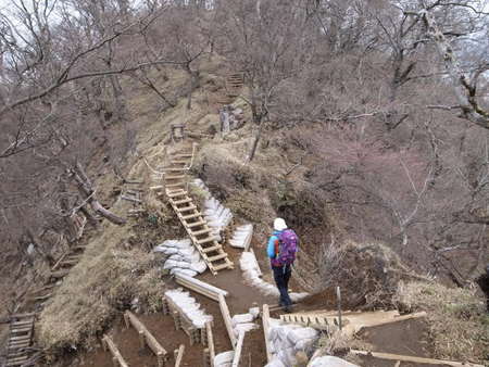 塔ノ岳　経由　丹沢山　後編