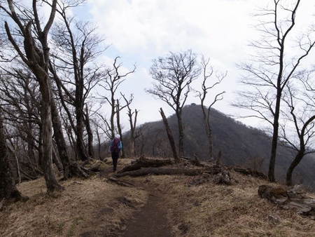 塔ノ岳　経由　丹沢山　後編