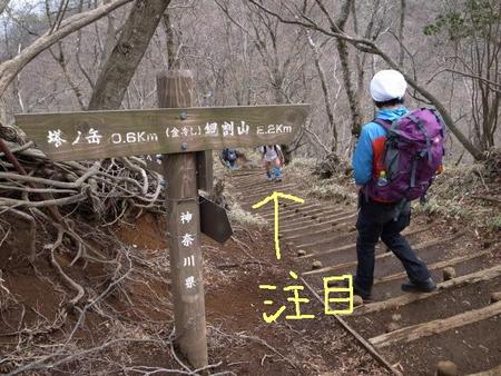 塔ノ岳　経由　丹沢山　後編
