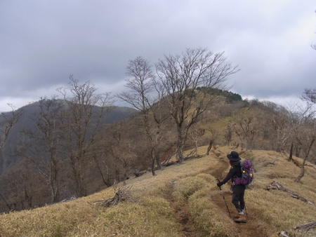 塔ノ岳　経由　丹沢山　後編