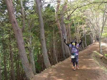 塔ノ岳　経由　丹沢山　後編