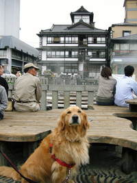 軽井沢にて 2008/05/08 15:28:06