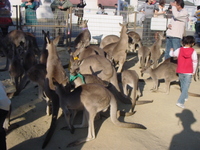 ピクニックなんて・・・