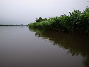 原点の釣り　秋田遠征