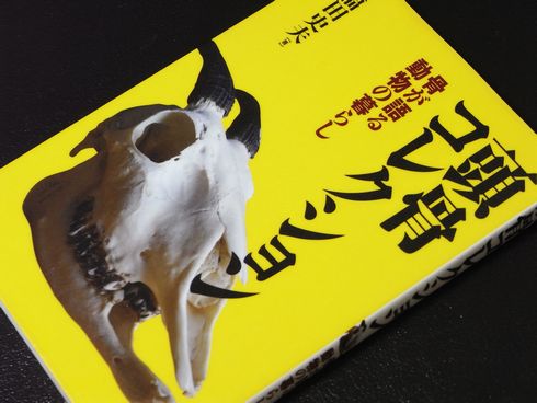 参考書№137　頭骨コレクション