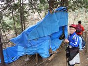 2011/04/02　能登猿山　（雪割草鑑賞）