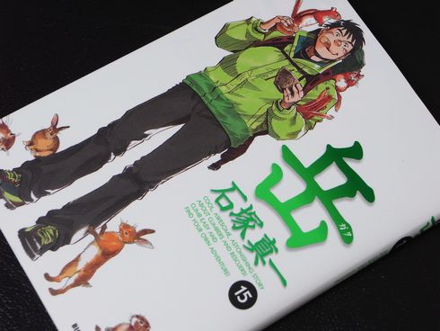 岳　みんなの山 15巻
