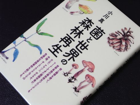 参考書№254　菌と世界の森林再生