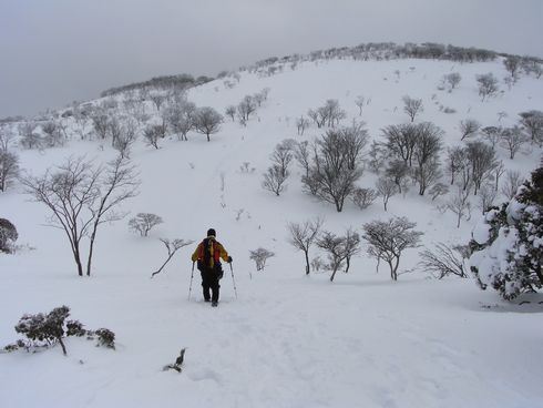 2011/01/22　藤原岳　（雪山登山）