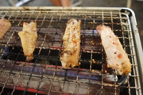 ツインピルツが張りたくて＆鮎食べよ＾＾　後編　in　Yビレッジ