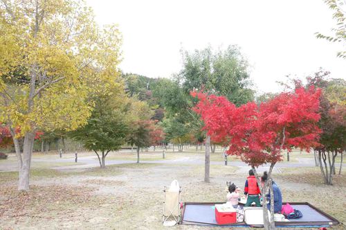 お初のグリンヴィラは天気に遊ばれ。。。 in　大子グリンヴィラ②