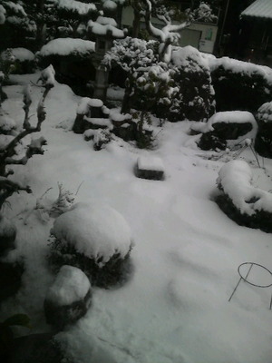 【雪景色】 in 丹後半島