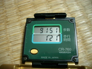 9151歩
