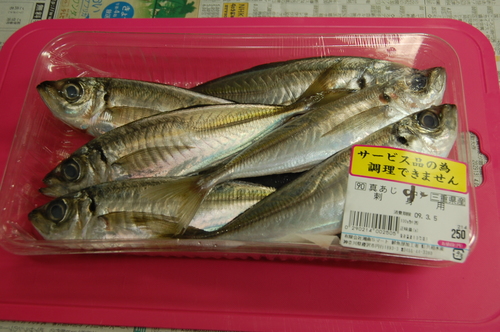 昨夜の宴