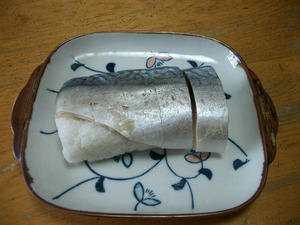 鯖とろ寿司