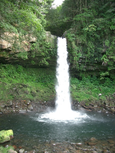 賑やか夏キャンプ2008 何でも編