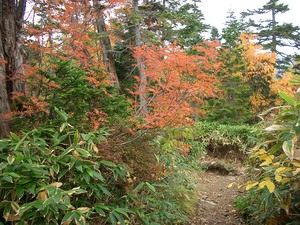 初登山・西穂独標　入山編