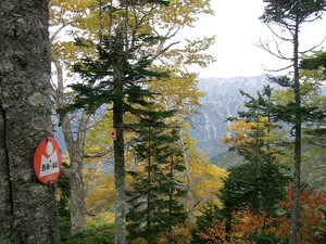 初登山・西穂独標　入山編