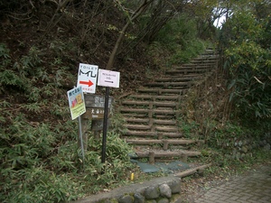 丹沢 山歩き 大山 ヤビツ峠ピストン
