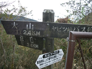 丹沢 山歩き 大山 ヤビツ峠ピストン