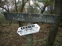 丹沢 山歩き 大山 ヤビツ峠ピストン