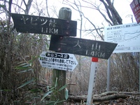 丹沢 山歩き 大山 ヤビツ峠ピストン