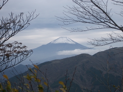 丹沢 山歩き 大山 ヤビツ峠ピストン