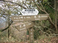 丹沢 山歩き 大山 ヤビツ峠ピストン