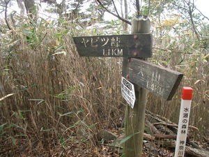 丹沢 山歩き 大山 ヤビツ峠ピストン
