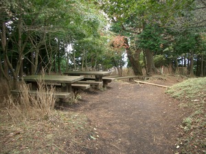 丹沢 山歩き 大山 ヤビツ峠ピストン
