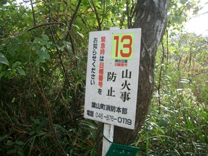 山歩き 三浦アルプス その２