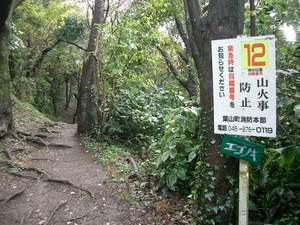 山歩き 三浦アルプス その２