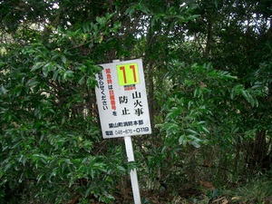 山歩き 三浦アルプス その２