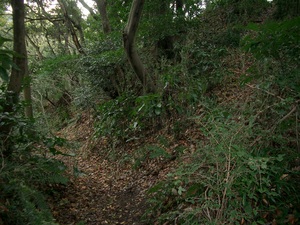 山歩き 三浦アルプス その３
