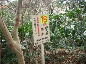山歩き 三浦アルプス その３