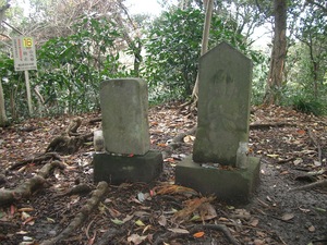 山歩き 三浦アルプス その３