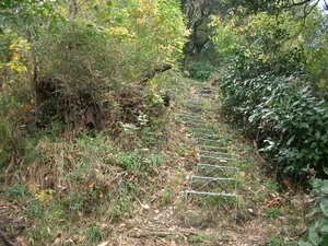 山歩き 三浦アルプス その５
