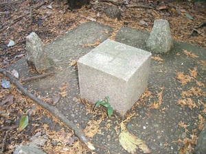 山歩き 三浦アルプス その５