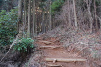 丹沢 山歩き シダンゴ山 ・宮地山編