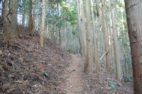 丹沢 山歩き シダンゴ山 ・宮地山編
