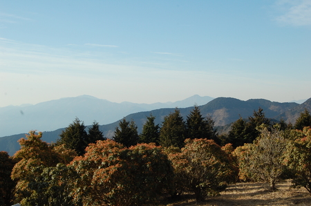 丹沢 山歩き シダンゴ山 ・宮地山編