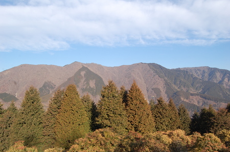 丹沢 山歩き シダンゴ山 ・宮地山編