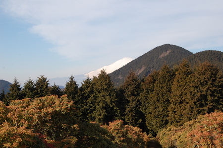 丹沢 山歩き シダンゴ山 ・宮地山編