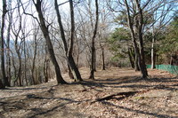 丹沢 山歩き シダンゴ山 ・宮地山編