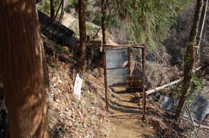 丹沢 山歩き シダンゴ山 ・宮地山編