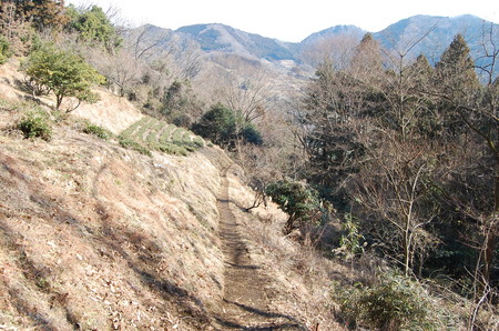 丹沢 山歩き シダンゴ山 ・宮地山編