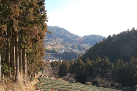 丹沢 山歩き シダンゴ山 ・宮地山編